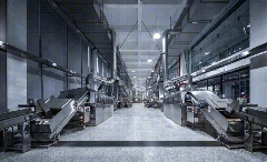 院士团队说2024年茶叶加工理论与技术研究进展（二）