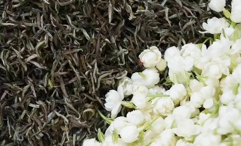 院士团队说2024年茶叶加工理论与技术研究进展（二）