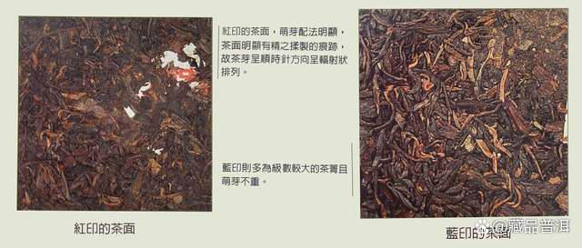 印级普洱茶传奇：红印与蓝印的区别与由来