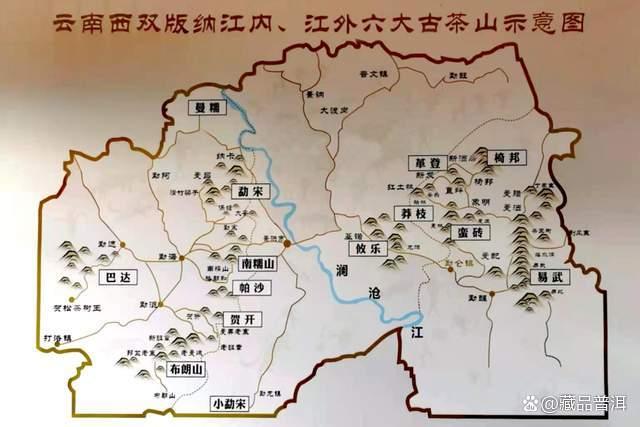 普洱茶五大产地风味特点与品质解析