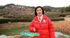 九一六茶园：红韵茶香新发展