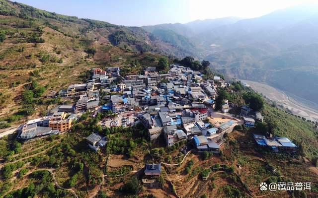 普洱茶五大产地风味特点与品质解析