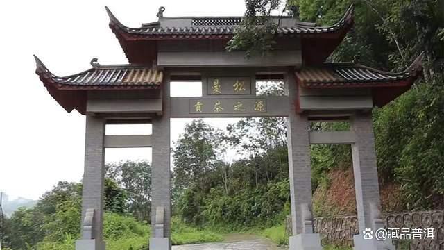 普洱茶五大产地风味特点与品质解析