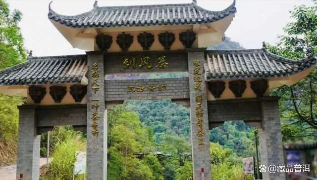 普洱茶五大产地风味特点与品质解析