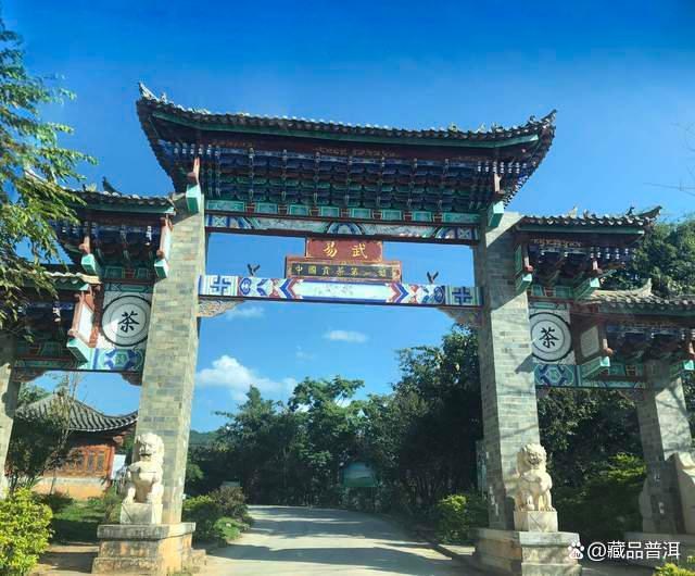 普洱茶五大产地风味特点与品质解析