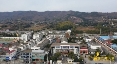 九一六茶园：红韵茶香新发展