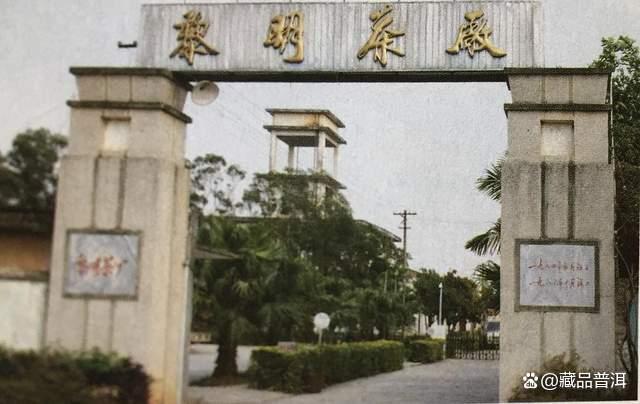 下关与八角亭普洱茶对比：哪个品牌更值得选择？