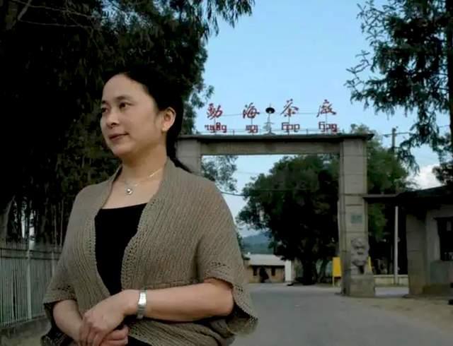 紫大益7572熟饼品质与价格分析，传承老茶独特风味