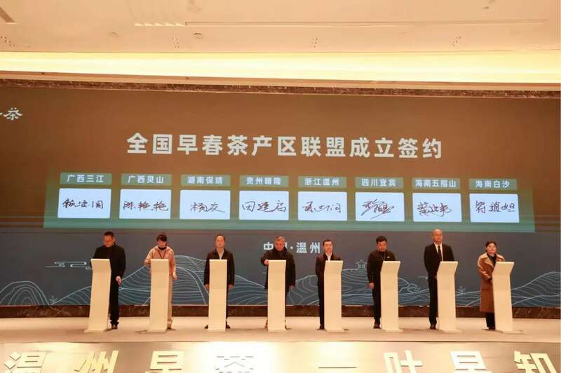 聚焦2025年早春茶开采：新局酝新机，多重驱动下的产业变革