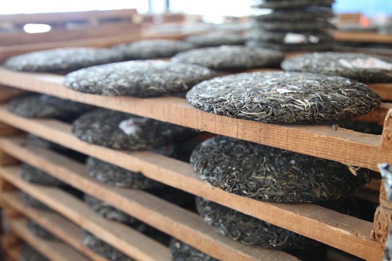 普洱茶投资分析：想赚快钱是一种病，得治