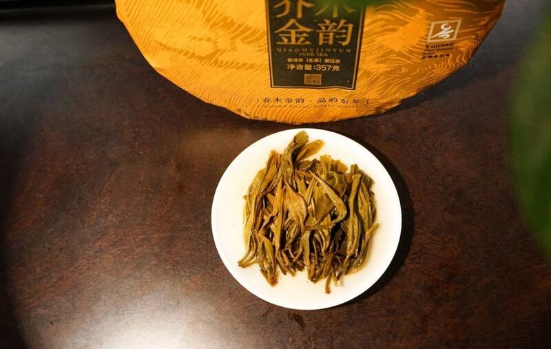 八角亭乔木金韵   一盏金茗，品韵东方