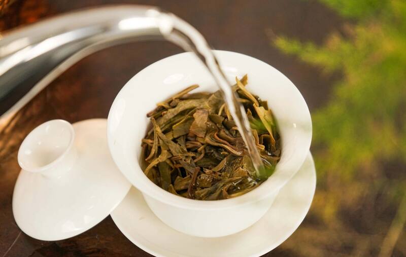 八角亭乔木金韵   一盏金茗，品韵东方