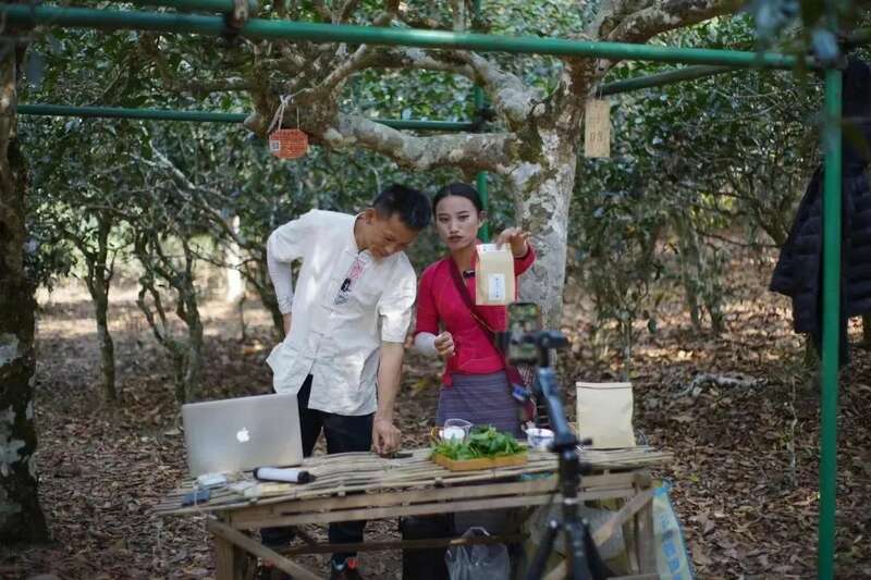 景迈山茶产业引领普洱茶产业高质量发展