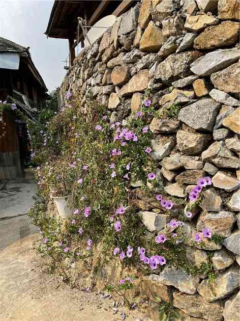 高舜礼：打造云南茶旅融合的升级版