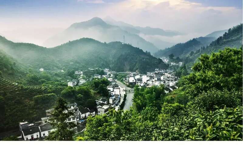 黄山市首单“茶叶低温气象指数保险”落地徽州区