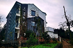 以“大佛龙井”品牌为背书 创建“云上茶乡，灵秀东茗”的乡村发展生境