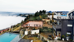 以“大佛龙井”品牌为背书 创建“云上茶乡，灵秀东茗”的乡村发展生境