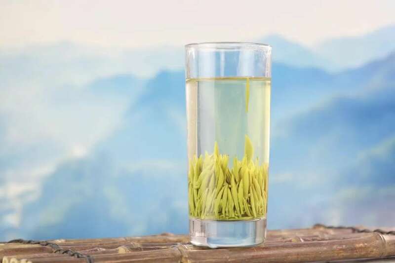 六安市全方位推进茶产业标准化建设