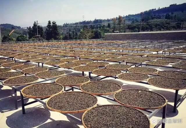 普洱茶为什么越陈越香适合收藏的原因分析