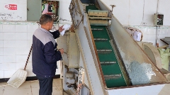 抢“鲜”！价格每斤150元，首批蒙顶山茶春茶开采