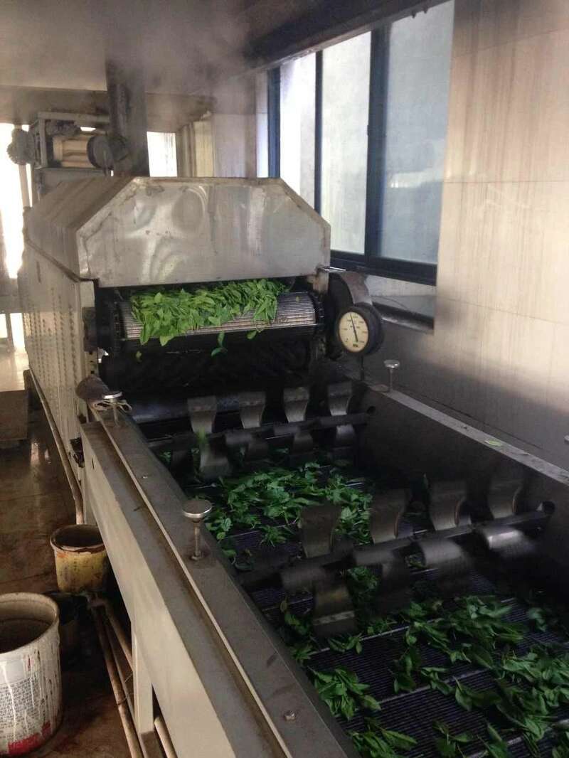 院士团队说2024年茶叶加工理论与技术研究进展（一）