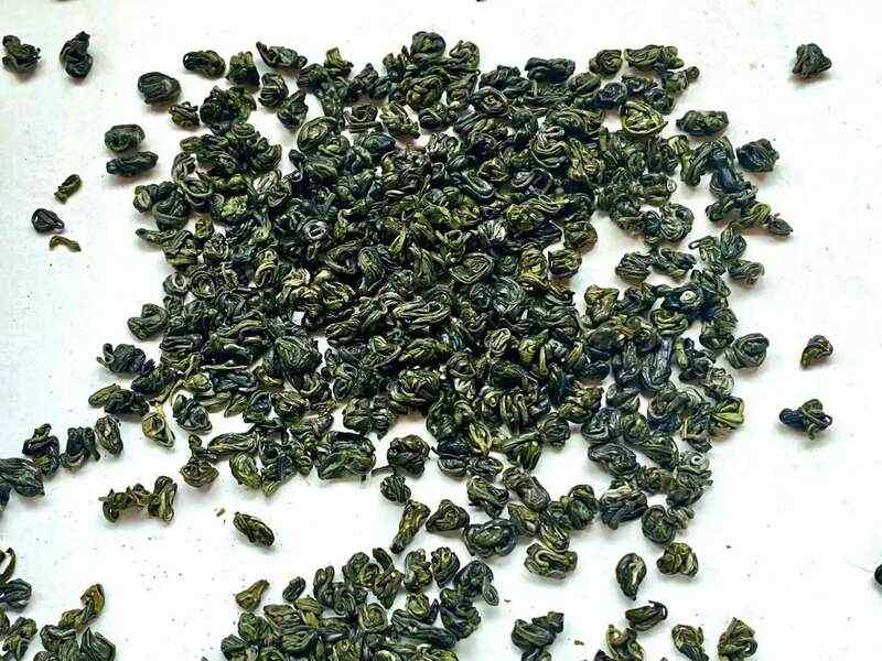 院士团队说2024年茶叶加工理论与技术研究进展（一）