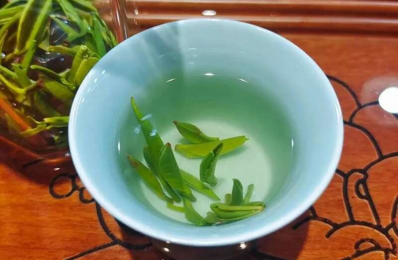 院士团队说2024年茶叶加工理论与技术研究进展（一）