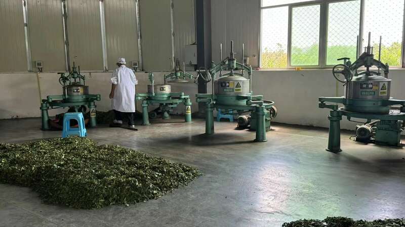 院士团队说2024年茶叶加工理论与技术研究进展（一）