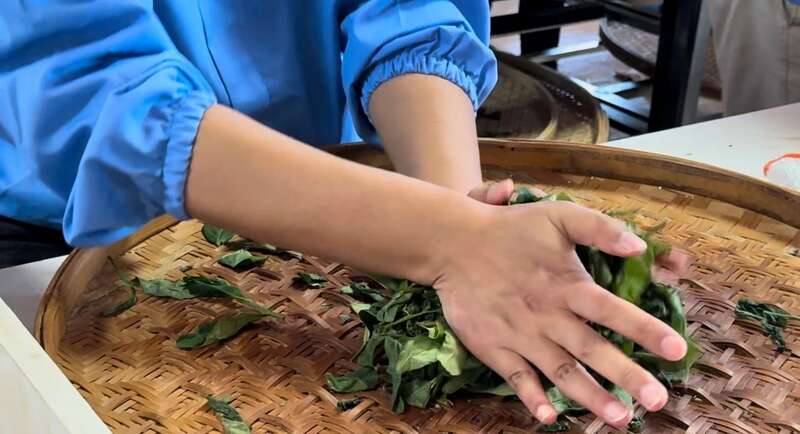 院士团队说2024年茶叶加工理论与技术研究进展（一）