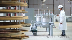 院士团队说2024年茶叶加工理论与技术研究进展（一）