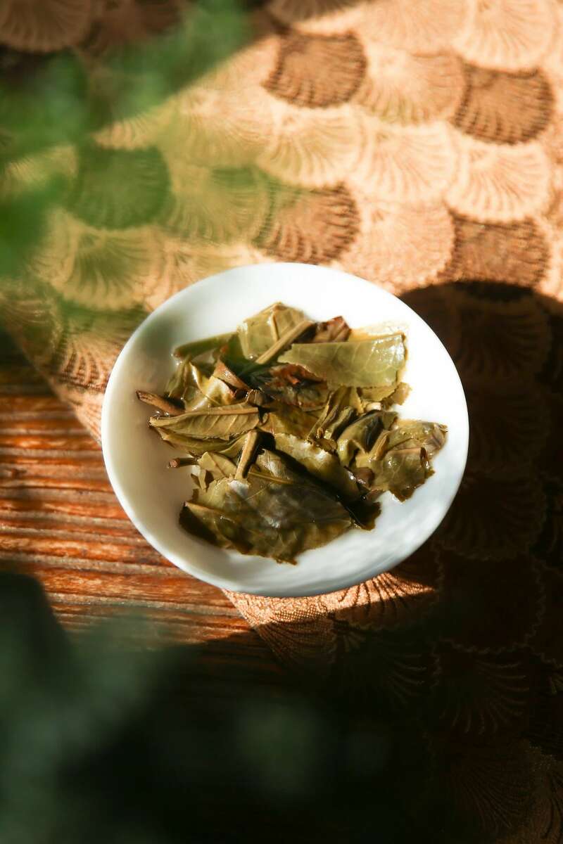 2024下关特沱 延续二十余年经典，匠心铸造绝佳品质