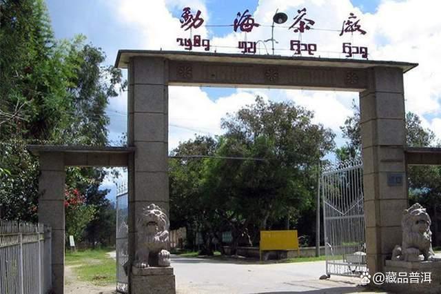 2003年红大益巴达野生茶深度解析,绿色有机普洱珍品鉴赏 2003年红大益巴达野生茶深度解析,绿色有机普洱珍品鉴赏