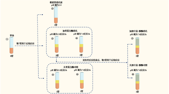 速溶茶粉和干茶的营养真相（附适合人群指南）