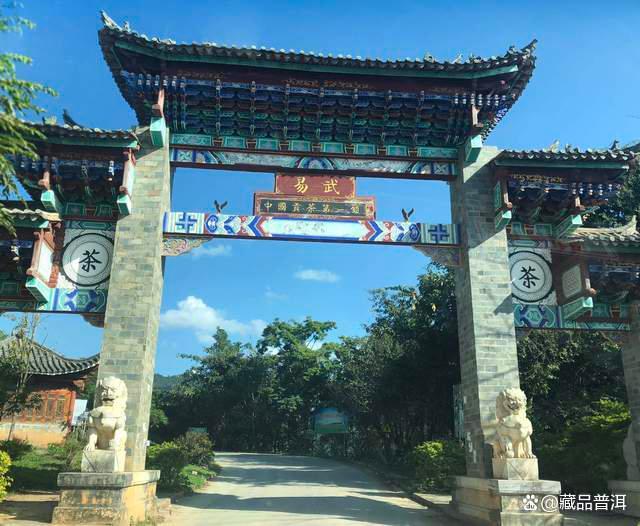 易武顺时兴号普洱茶传奇 张毅老乡长复兴易武茶工艺