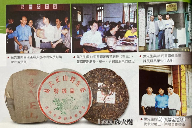 勐海茶厂三大定制茶门派解析，绿大树大白菜金银大益的传奇