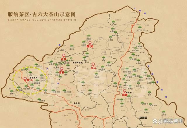 昌泰陈弘昌2004年攸乐极品普洱茶深度解析