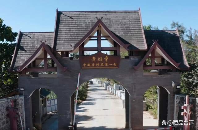 陈升号四大名山系列茶品深度解析，老班章南糯易武那卡特色对比