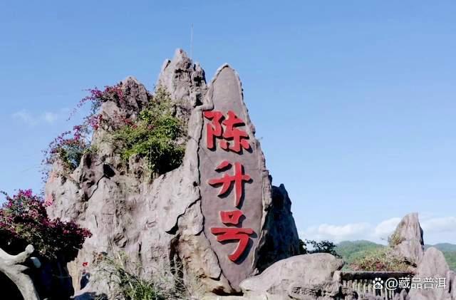 陈升号四大名山系列茶品深度解析，老班章南糯易武那卡特色对比