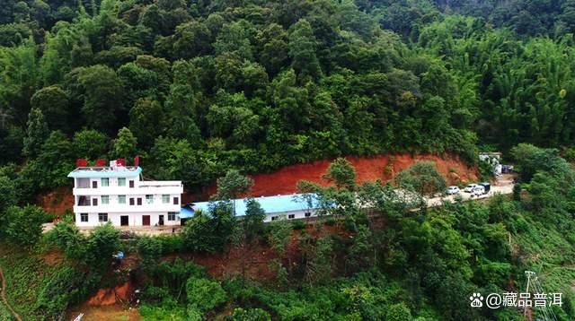 陈升号四大名山系列茶品深度解析，老班章南糯易武那卡特色对比