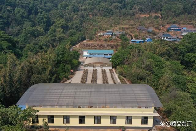 陈升号四大名山系列茶品深度解析，老班章南糯易武那卡特色对比