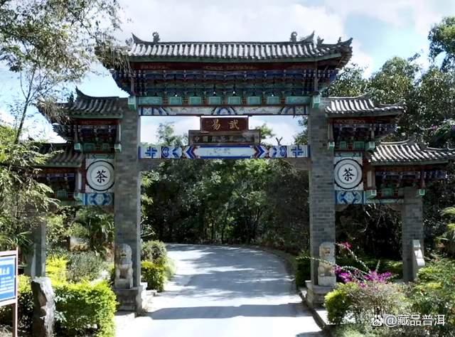 陈升号四大名山系列茶品深度解析，老班章南糯易武那卡特色对比