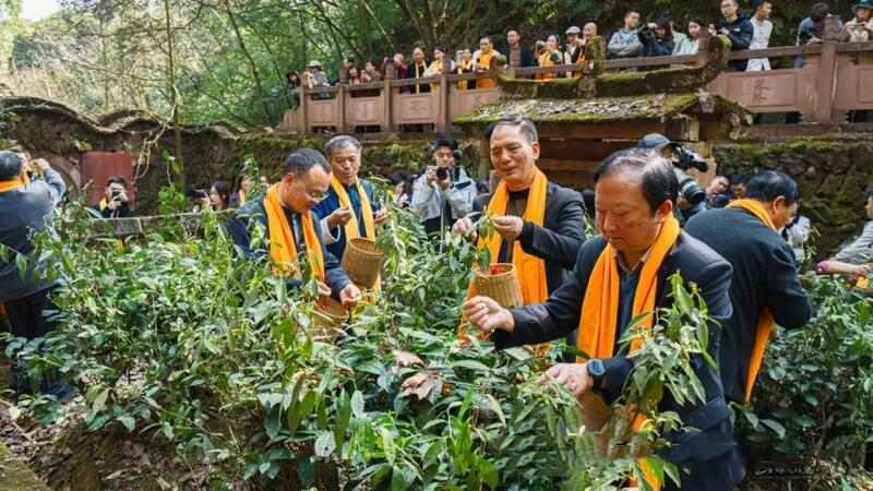 2025年蒙顶山皇茶采制祭祖大典隆重举行