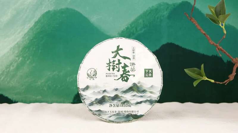 下关大树春饼茶 细酌高山云雾滋养出的“春韵”