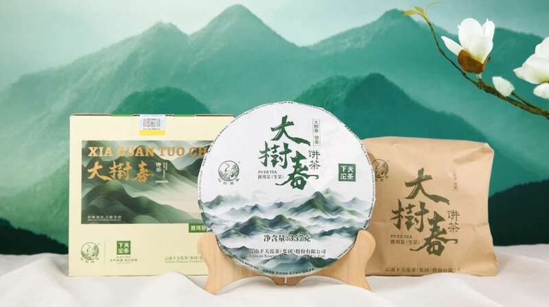 下关大树春饼茶 细酌高山云雾滋养出的“春韵”
