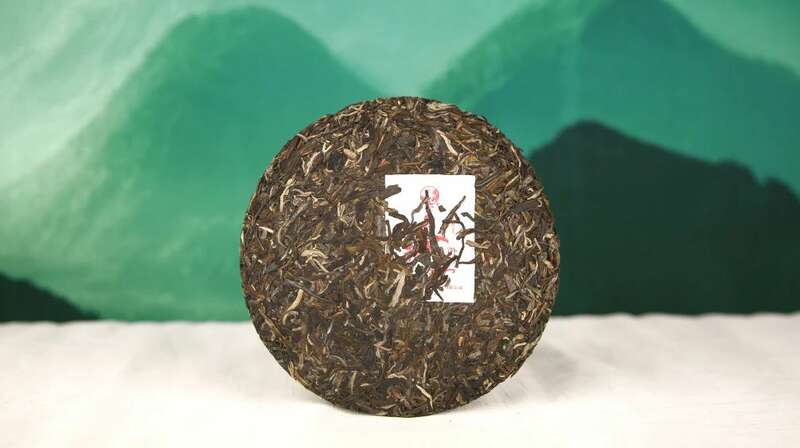 下关大树春饼茶 细酌高山云雾滋养出的“春韵”