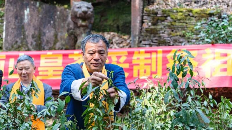 2025年蒙顶山皇茶采制祭祖大典隆重举行