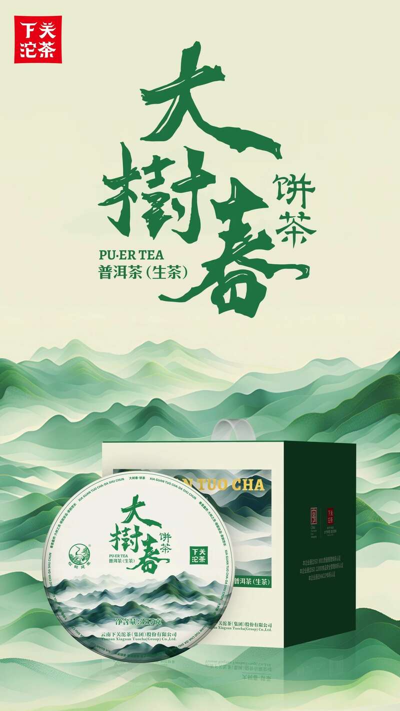 下关大树春饼茶 细酌高山云雾滋养出的“春韵”