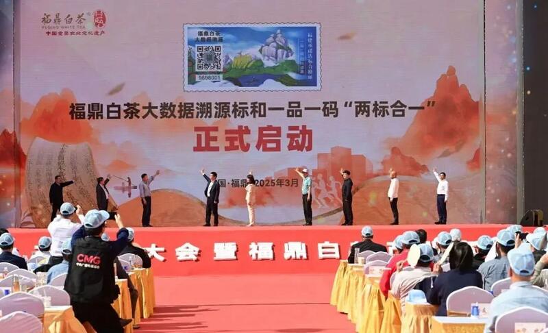 福鼎白茶“两标合一”！解读来了