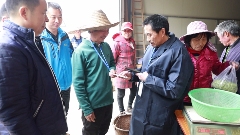 福鼎白茶“两标合一”！解读来了