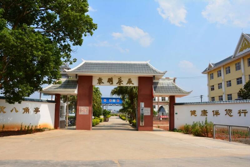 八角亭云南勐海早春乔木圆茶   经典再现，传奇新生！